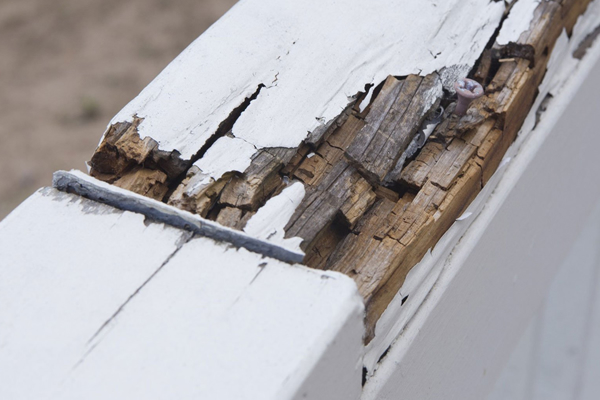 wood-rot-repairs